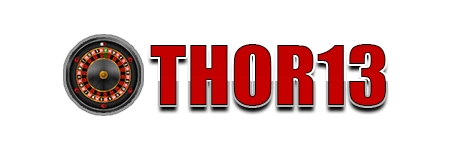 Logo THOR13